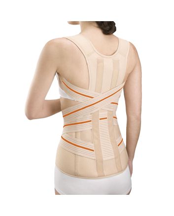 Orliman Ceinture Dorsolombaire