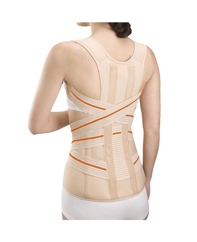 Orliman Ceinture Dorsolombaire