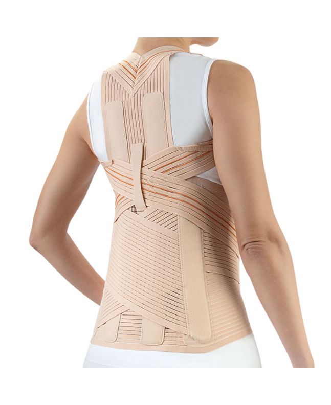 Orliman Support Dorsal et Lombaire