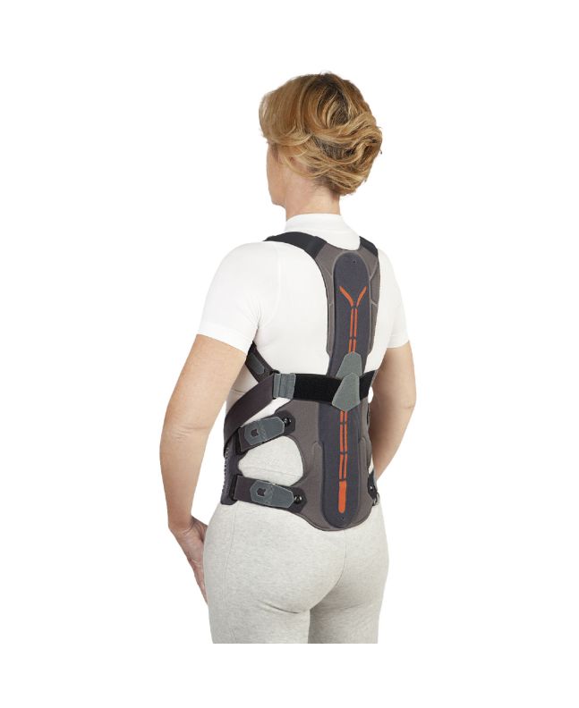 Orliman Ceinture Dorsolombaire Dorsotech
